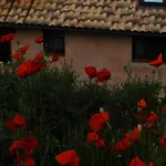 Appartement El Brezo