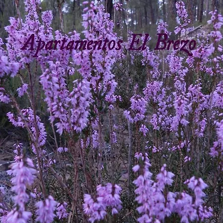El Brezo * Albarracín