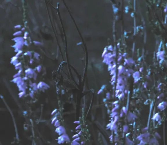 Apartamento El Brezo